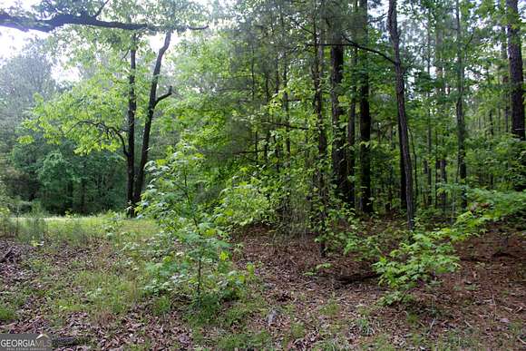 4.6 Acres of Residential Land for Sale in Newnan, Georgia