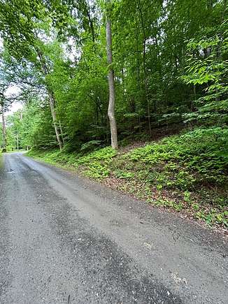 0.94 Acres of Land for Sale in Ellijay, Georgia