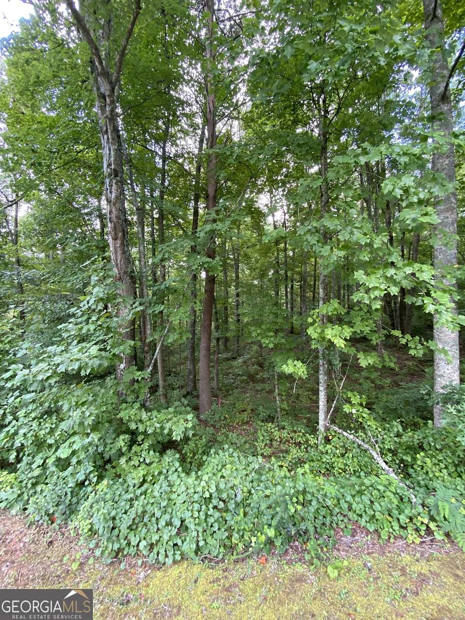 1.02 Acres of Residential Land for Sale in Ellijay, Georgia