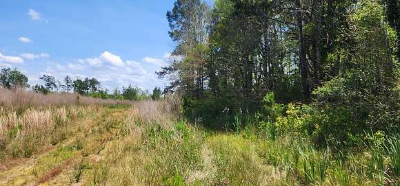 10 Acres of Land for Sale in Dorchester, South Carolina