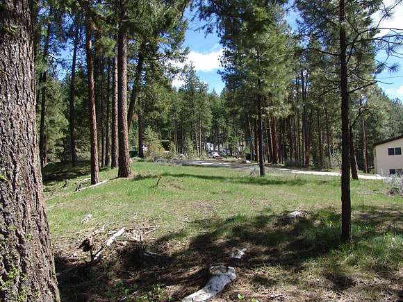 1.35 Acres of Land for Sale in Cascade, Idaho