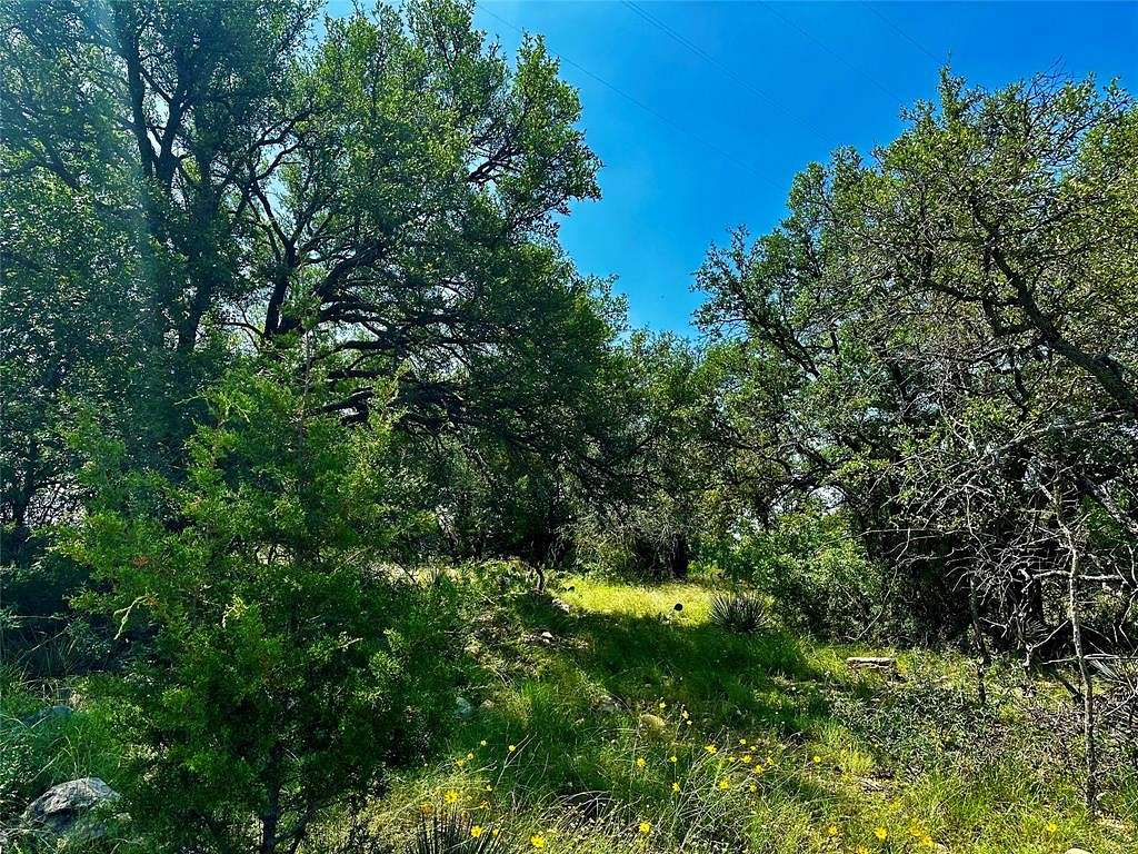 15.1 Acres of Recreational Land for Sale in Brady, Texas