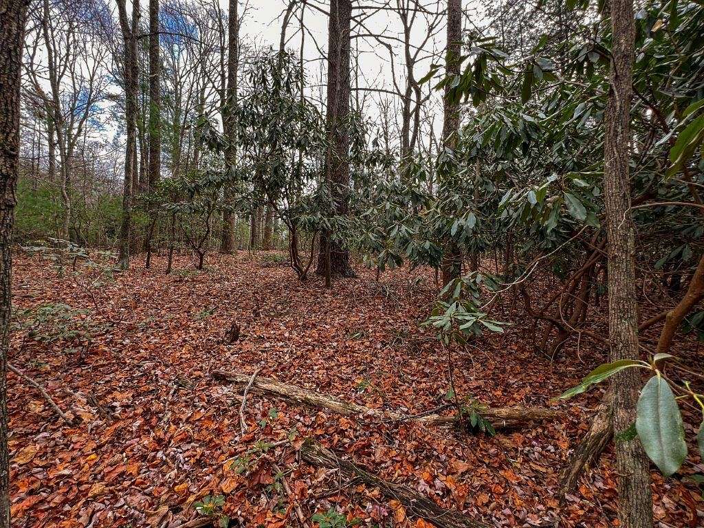 0.25 Acres of Residential Land for Sale in Fancy Gap, Virginia