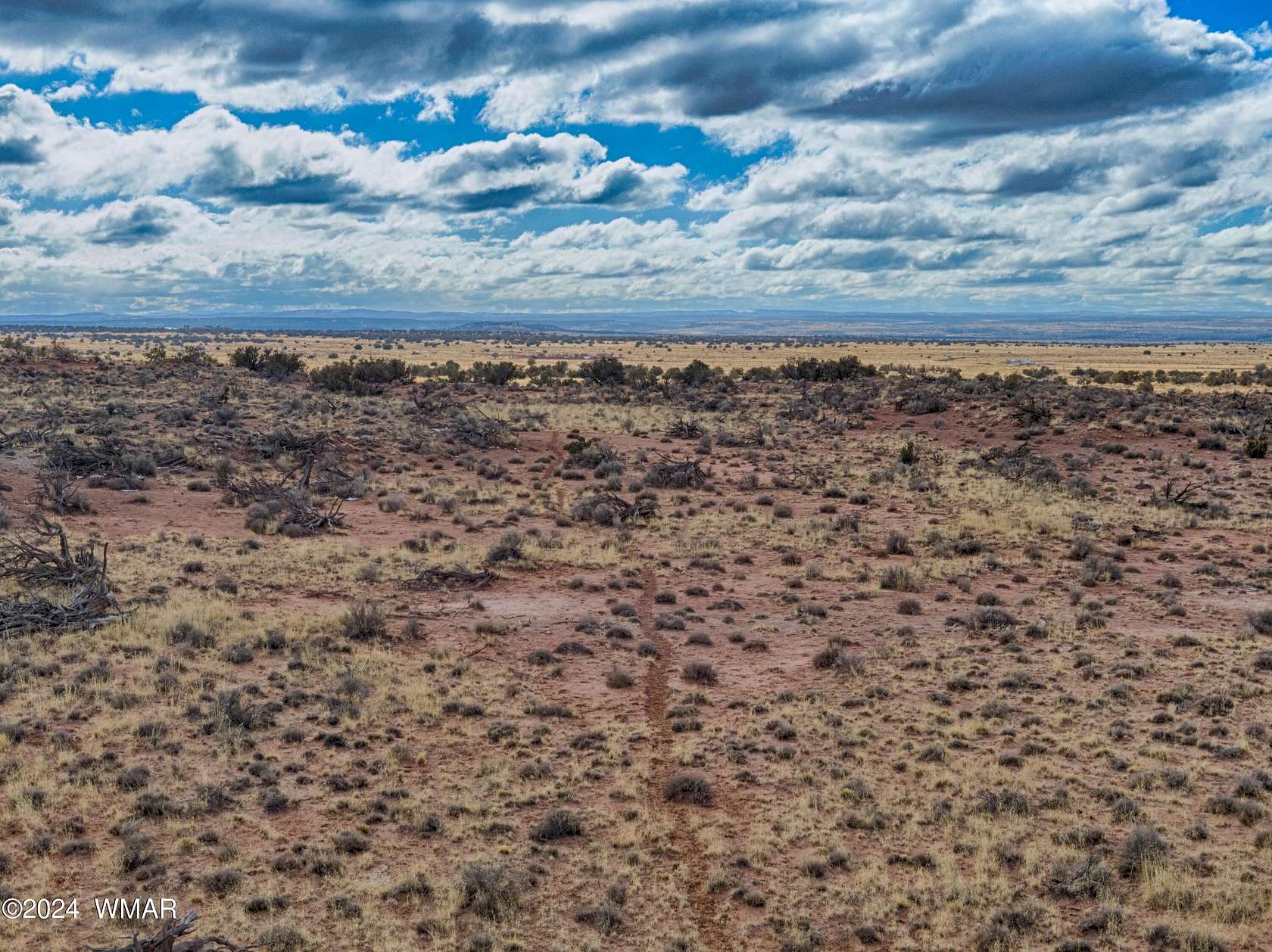 161.36 Acres of Agricultural Land for Sale in Snowflake, Arizona