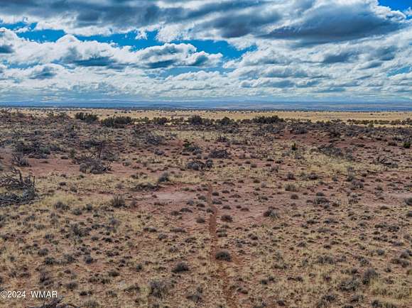 161 Acres of Agricultural Land for Sale in Snowflake, Arizona