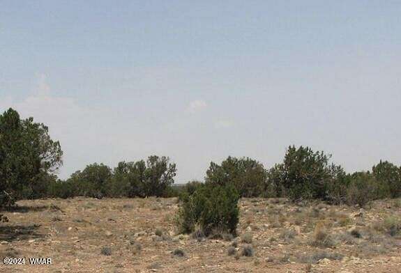 25.9 Acres of Agricultural Land for Sale in Heber, Arizona