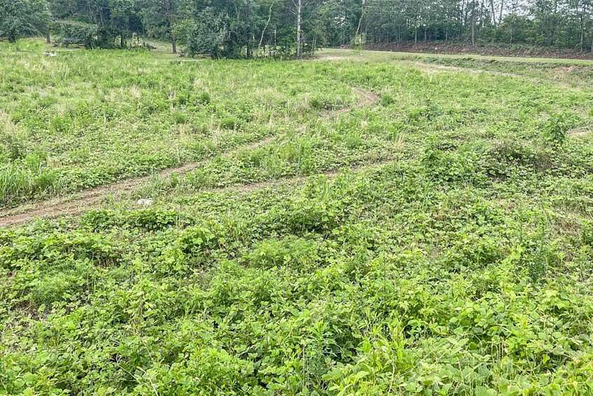 4.2 Acres of Residential Land for Sale in Warrenville, South Carolina