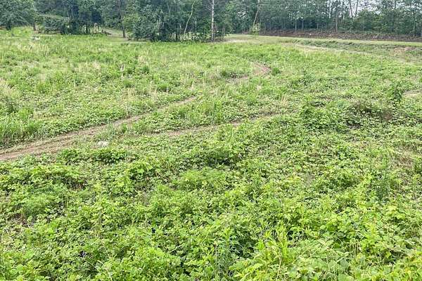 4.2 Acres of Residential Land for Sale in Warrenville, South Carolina