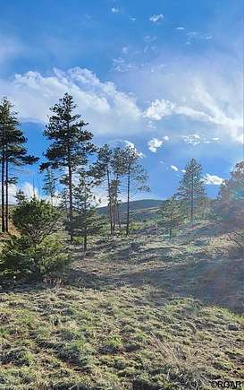 2.6 Acres of Residential Land for Sale in Cotopaxi, Colorado