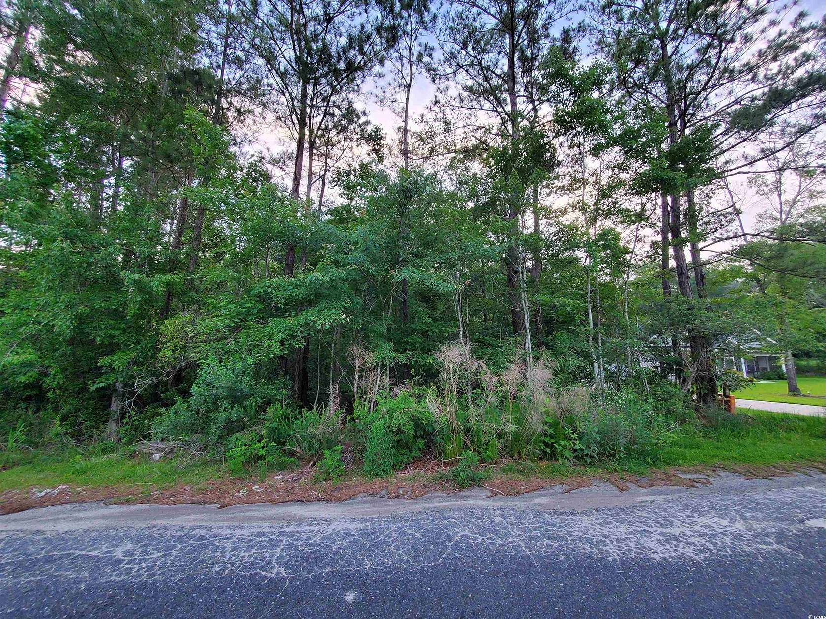 0.41 Acres of Residential Land for Sale in Galivants Ferry, South Carolina