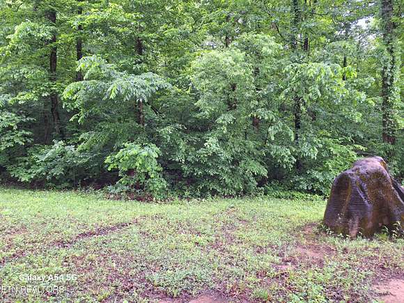 12.3 Acres of Land for Sale in Greenback, Tennessee