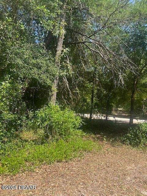 1.15 Acres of Residential Land for Sale in Pomona Park, Florida