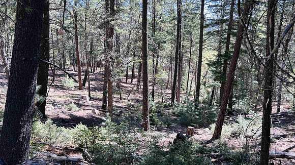 1.5 Acres of Residential Land for Sale in Mayhill, New Mexico