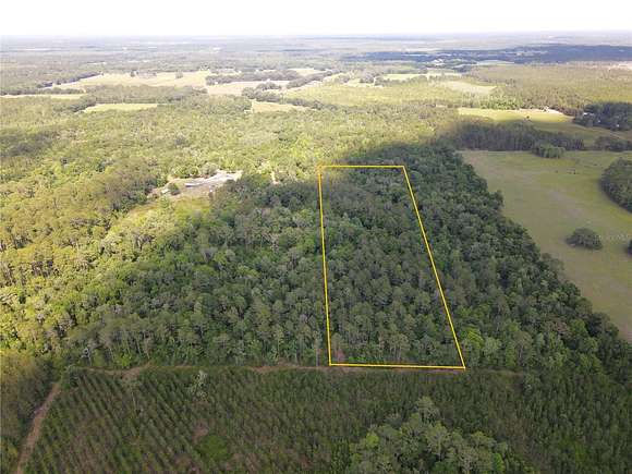10 Acres of Recreational Land for Sale in Hawthorne, Florida