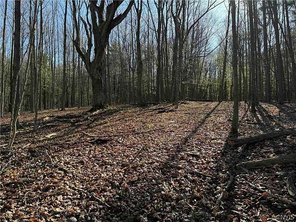 8 Acres of Land for Sale in Dansville Town, New York
