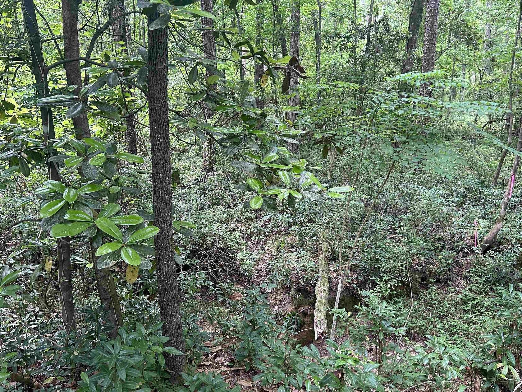 10.8 Acres of Land for Sale in Tallahassee, Florida