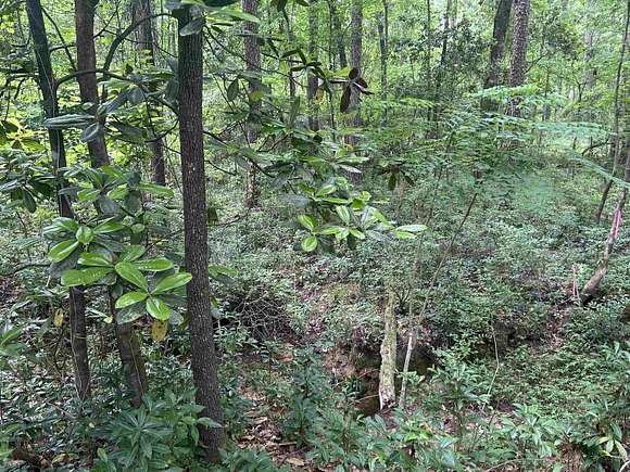 10.8 Acres of Land for Sale in Tallahassee, Florida