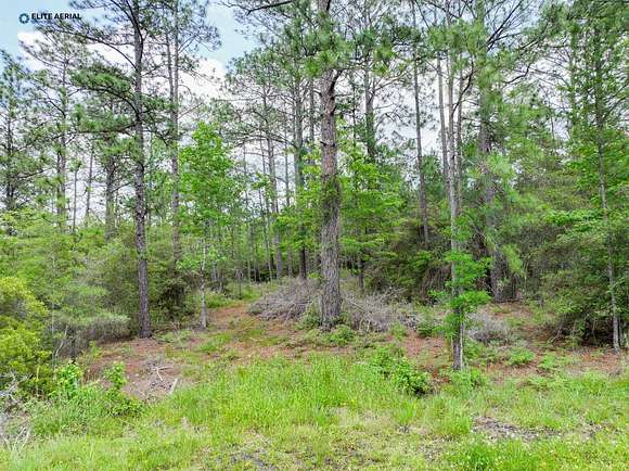 0.2 Acres of Residential Land for Sale in Brookeland, Texas