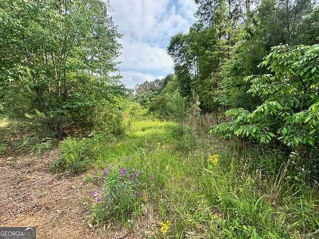 5 Acres of Residential Land for Sale in Royston, Georgia