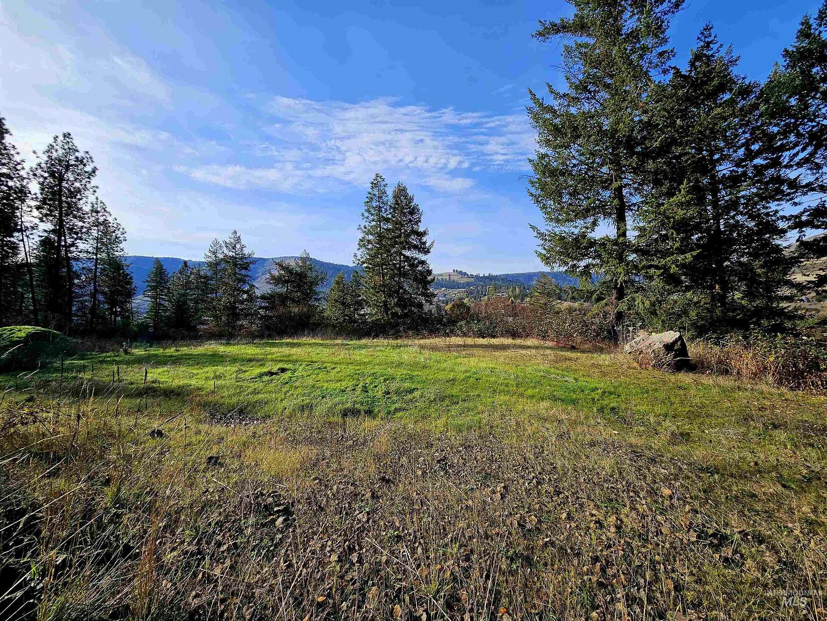 10.9 Acres of Land for Sale in Juliaetta, Idaho