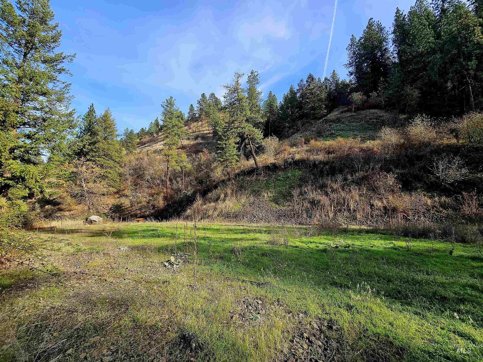 10.94 Acres of Land for Sale in Juliaetta, Idaho