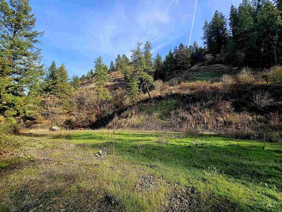 10.94 Acres of Land for Sale in Juliaetta, Idaho