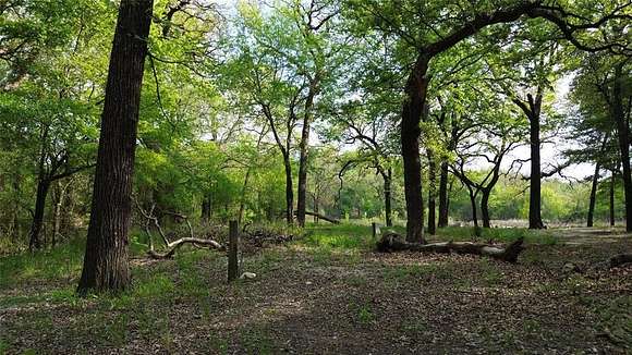 24 Acres of Recreational Land for Sale in Decatur, Texas