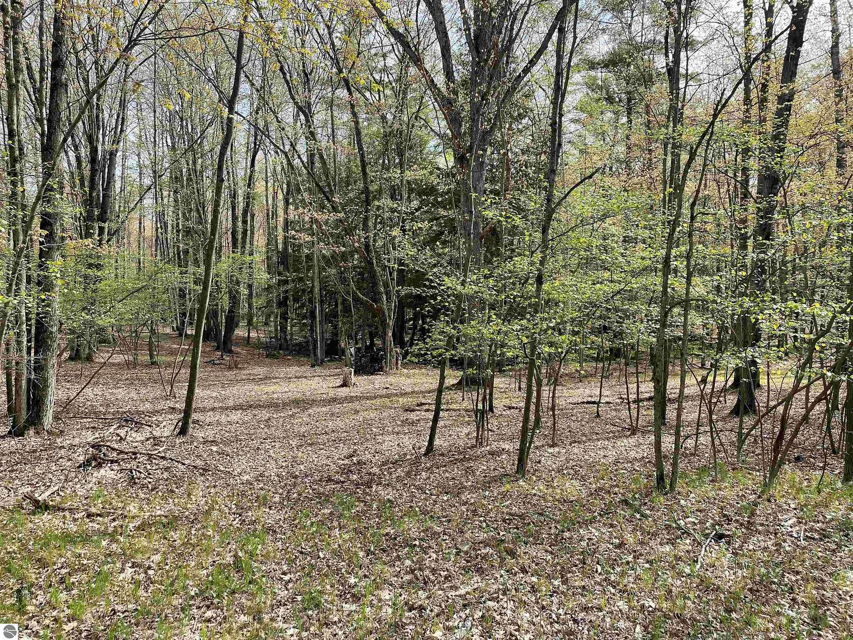 0.79 Acres of Land for Sale in Farwell, Michigan