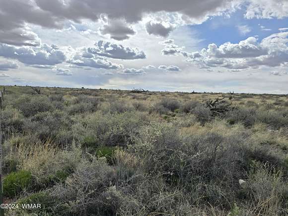 40.3 Acres of Recreational Land & Farm for Sale in Snowflake, Arizona