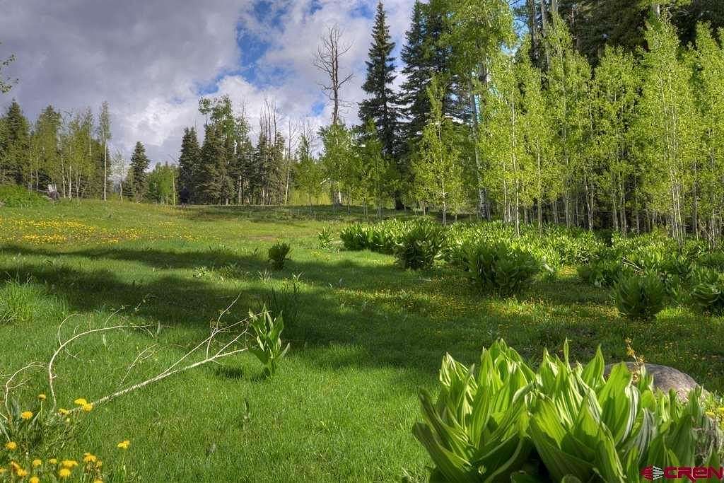 20 Acres of Recreational Land for Sale in Bayfield, Colorado