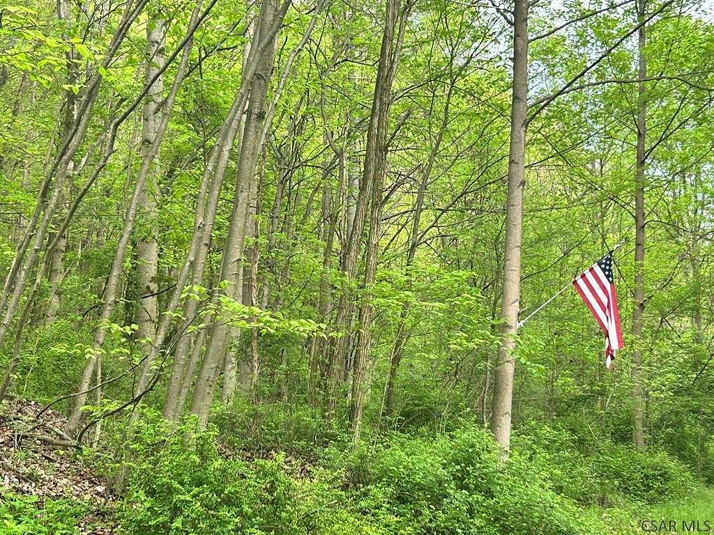 61.7 Acres of Recreational Land for Sale in Hollsopple, Pennsylvania