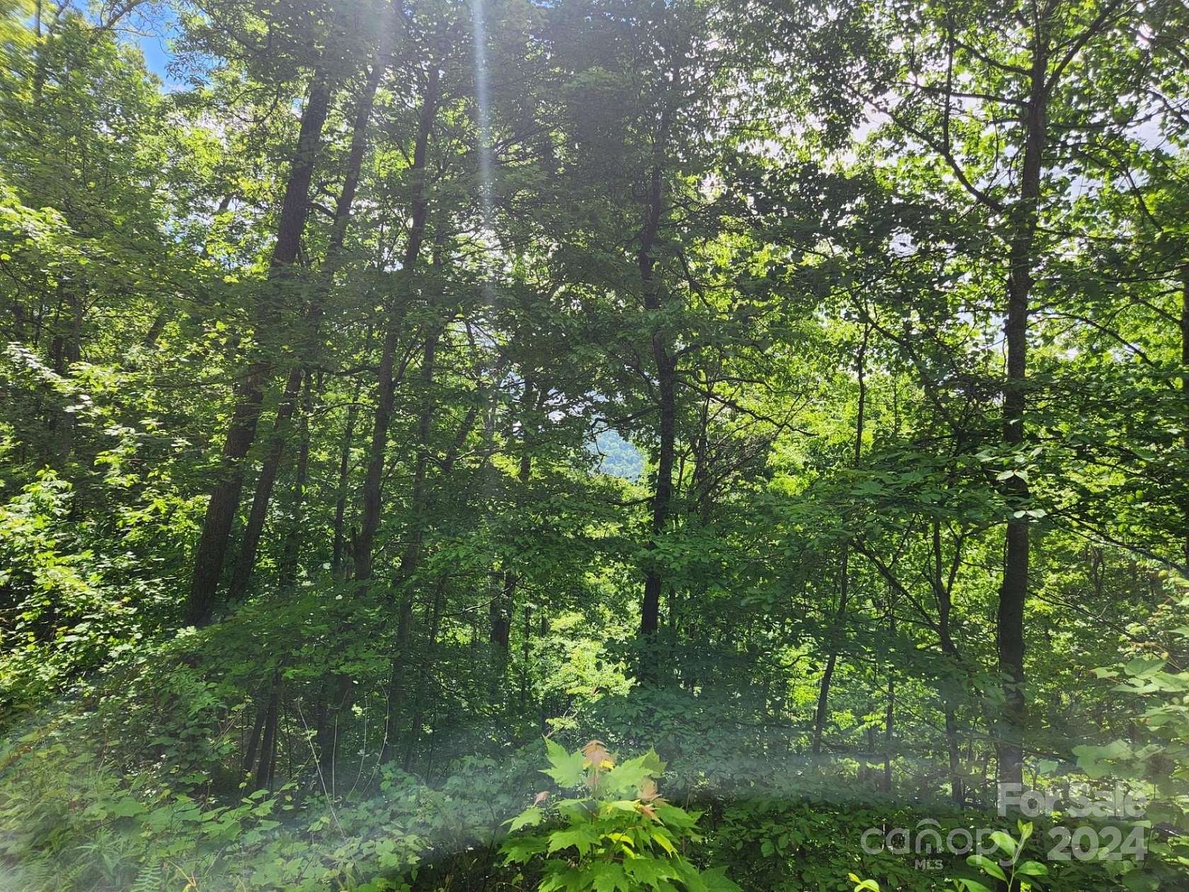 2.64 Acres of Residential Land for Sale in Leicester, North Carolina