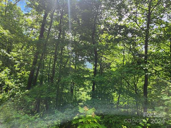 2.64 Acres of Residential Land for Sale in Leicester, North Carolina