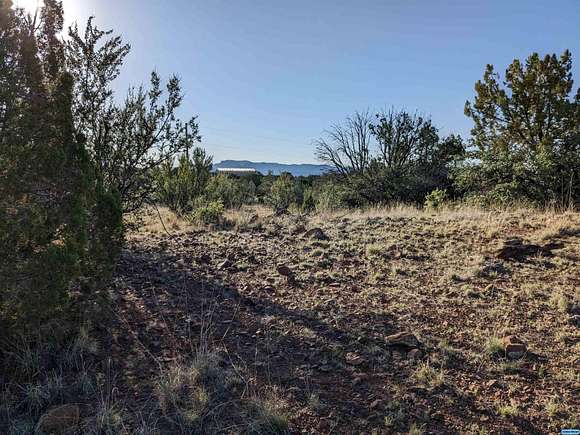 20 Acres of Land for Sale in Arenas Valley, New Mexico