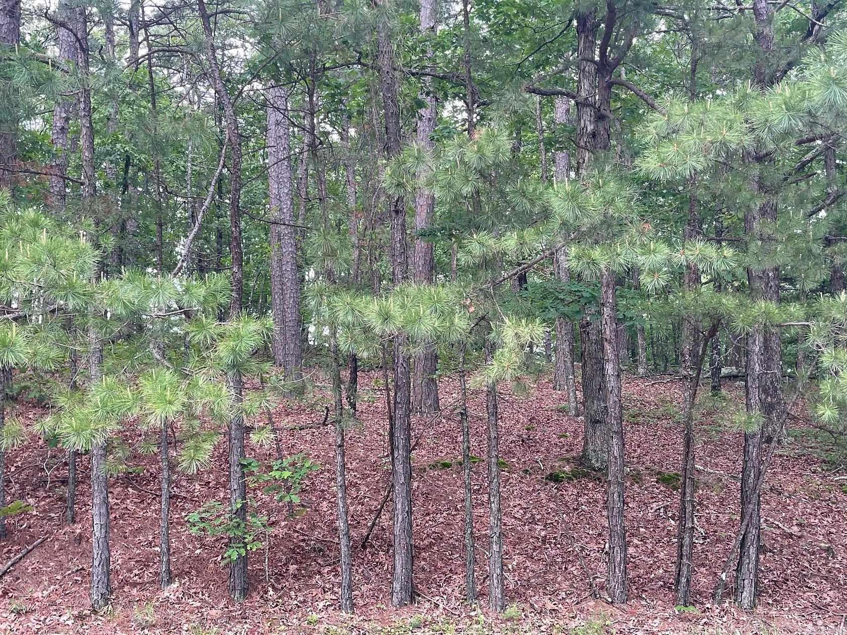 0.79 Acres of Residential Land for Sale in Fairfield Bay, Arkansas