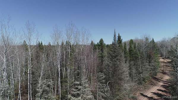 252 Acres of Recreational Land for Sale in Republic, Michigan