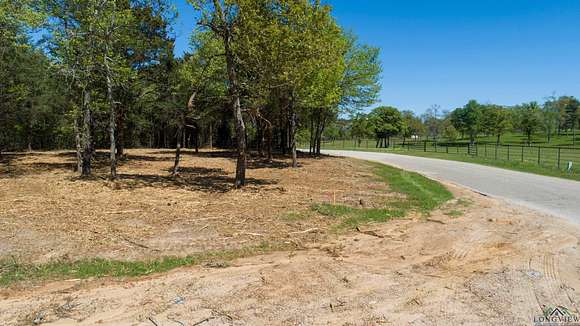 0.53 Acres of Residential Land for Sale in Big Sandy, Texas