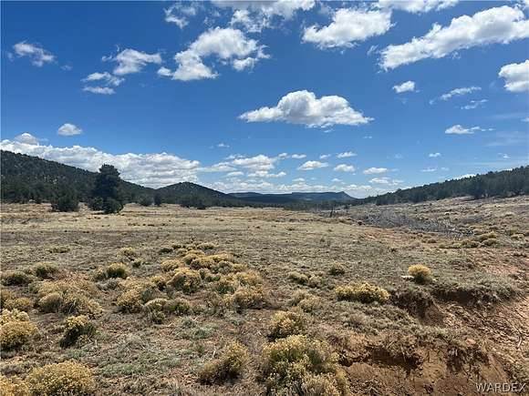 20 Acres of Recreational Land & Farm for Sale in Seligman, Arizona