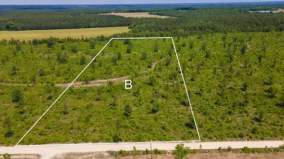 11.1 Acres of Agricultural Land for Sale in Monetta, South Carolina