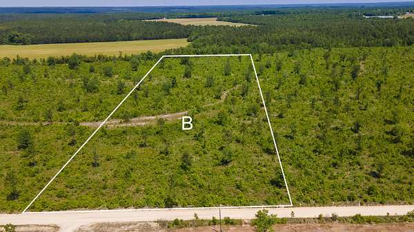11 Acres of Agricultural Land for Sale in Monetta, South Carolina