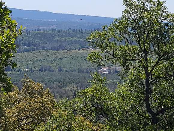 92.6 Acres of Recreational Land for Sale in Manton, California