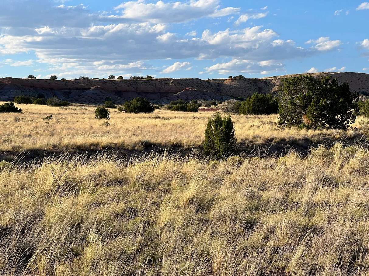 2 Acres of Residential Land for Sale in Sanders, Arizona