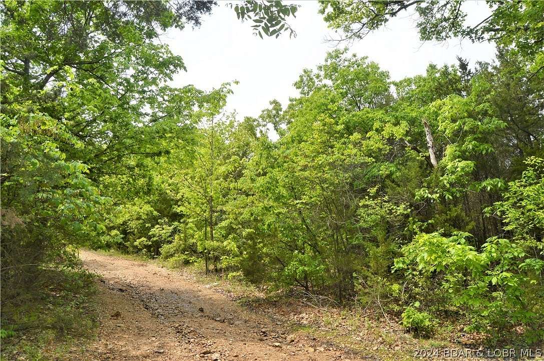 10 Acres of Land for Sale in Brumley, Missouri