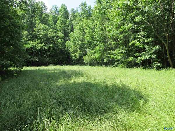 40 Acres of Recreational Land for Sale in Trenton, Alabama