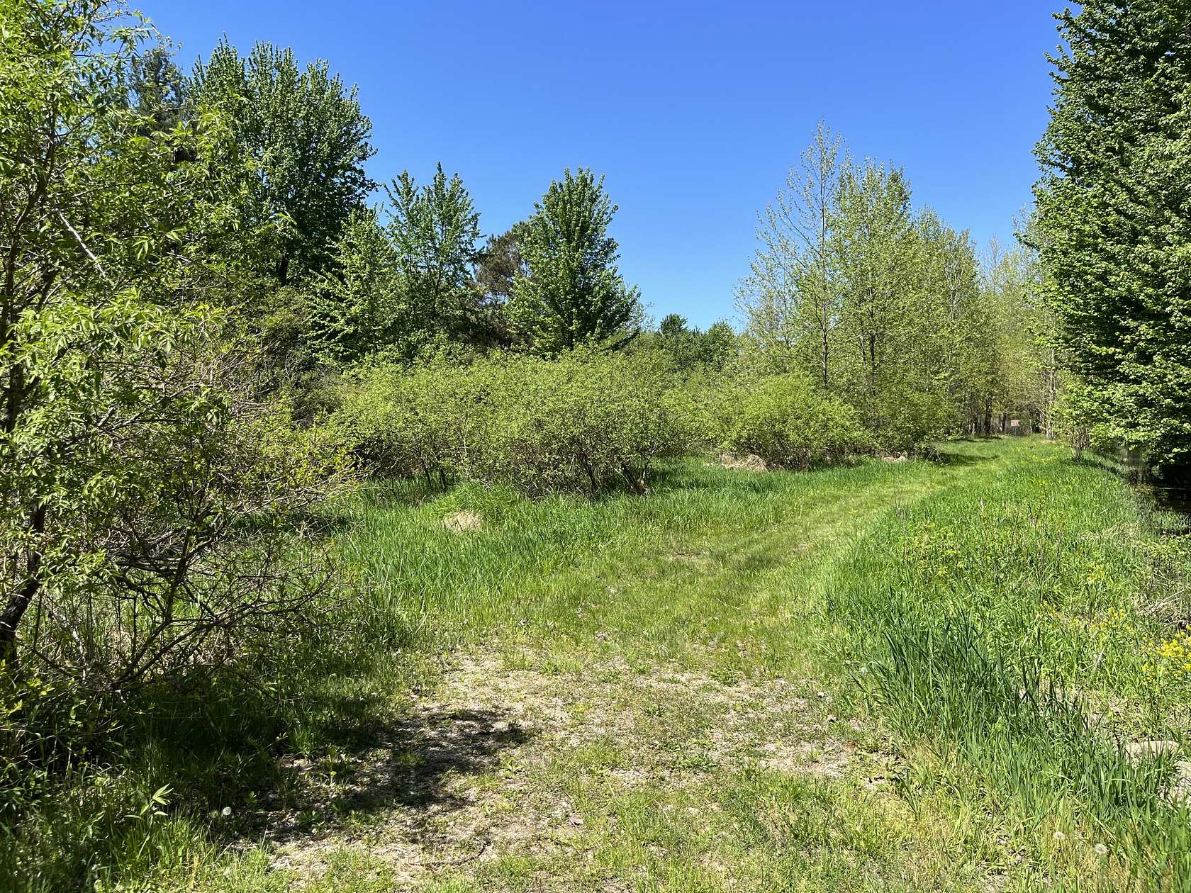 0.71 Acres of Land for Sale in Bloomingdale, Michigan