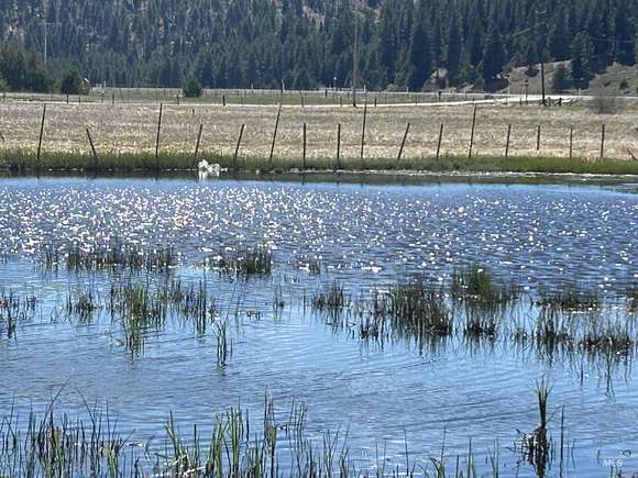 33 Acres of Recreational Land & Farm for Sale in Cascade, Idaho