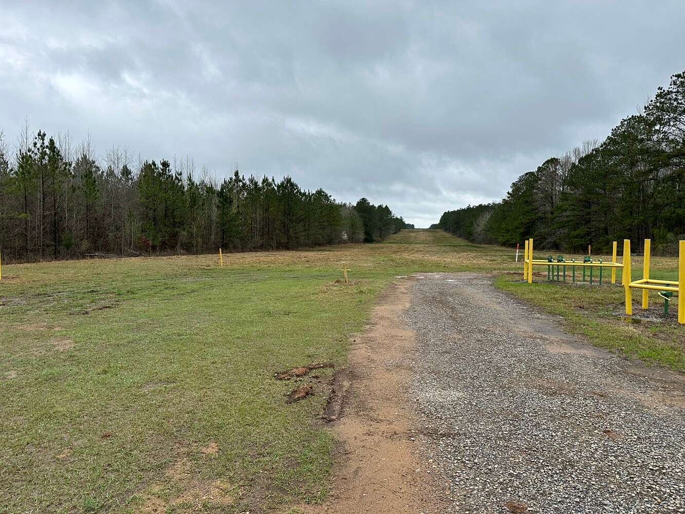 8 Acres of Residential Land for Sale in Sweet Water, Alabama