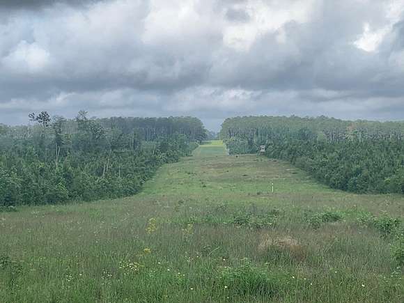 166 Acres of Recreational Land for Sale in Magnolia, Mississippi