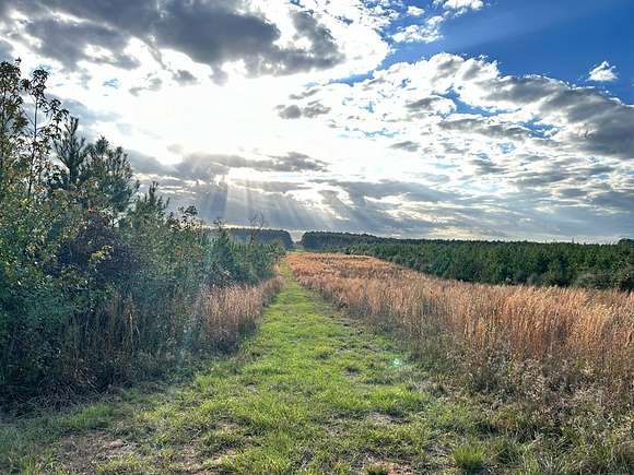 166.06 Acres of Recreational Land for Sale in Magnolia, Mississippi