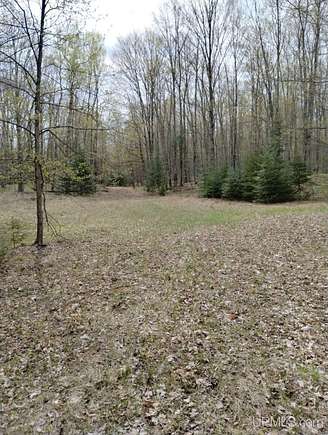 80 Acres of Land for Sale in Wilson, Michigan